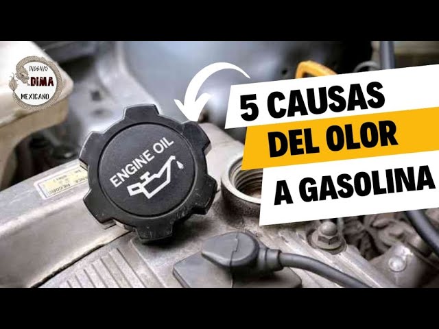 olor a gasolina dentro del coche es peligroso