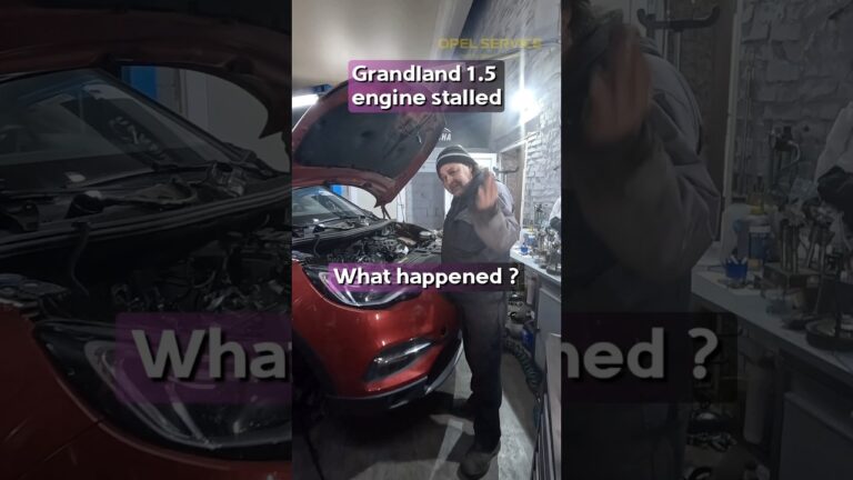 opel grandland x 1.5 cdti 130 cv problemas