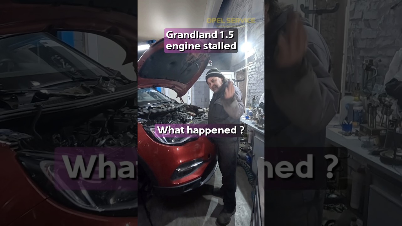 opel grandland x 1.5 cdti 130 cv problemas