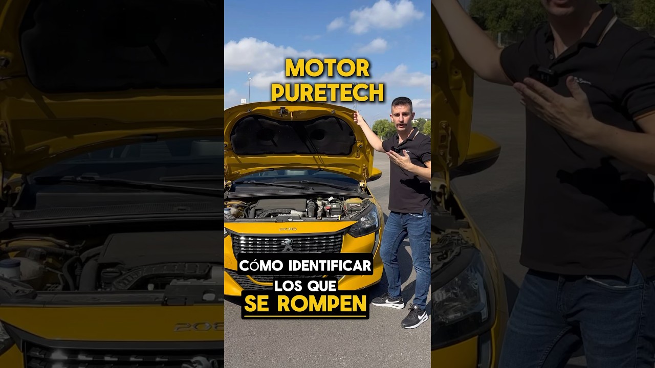 peugeot 3008 correa bañada en aceite