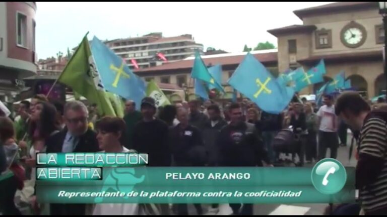 porque el asturiano no es una lengua oficial