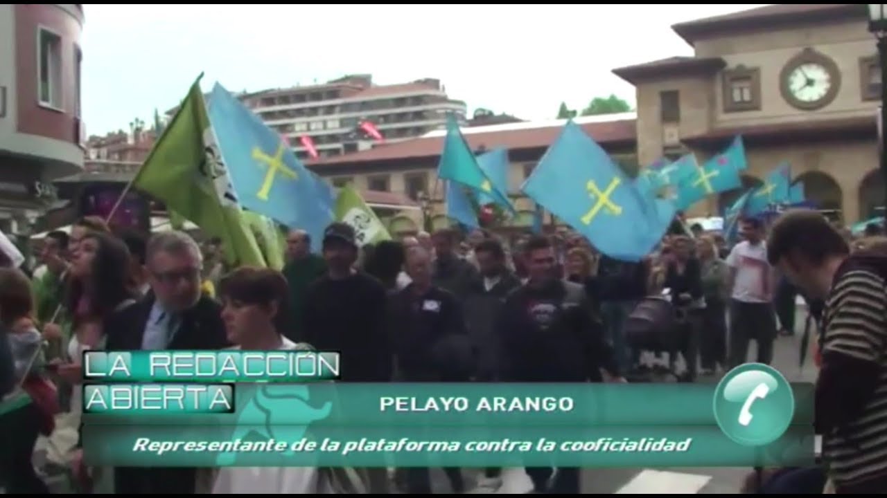 porque el asturiano no es una lengua oficial