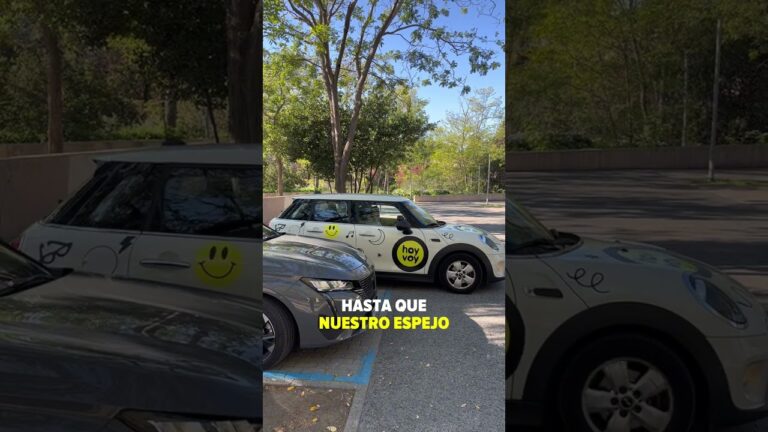 que dias son laborables para aparcar