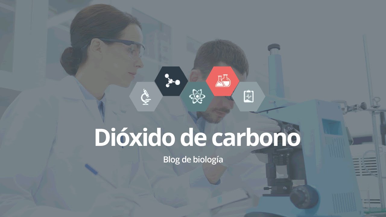que es el dióxido de carbono