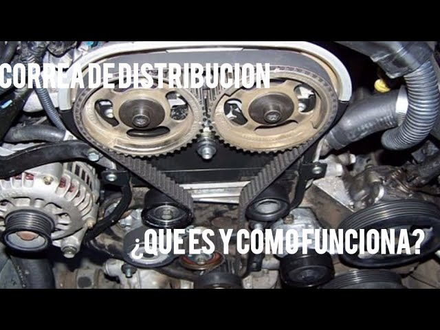 que es la correa de distribucion