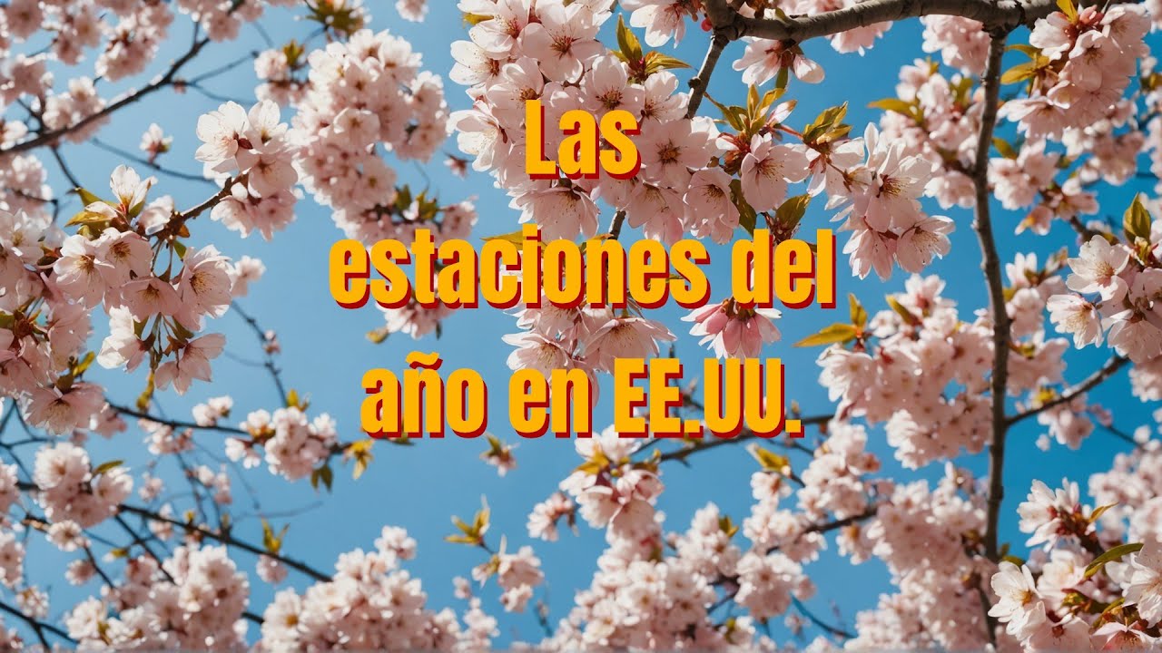 que estacion es en estados unidos