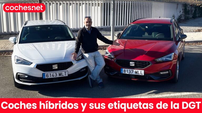 que pegatina le corresponde a mi coche