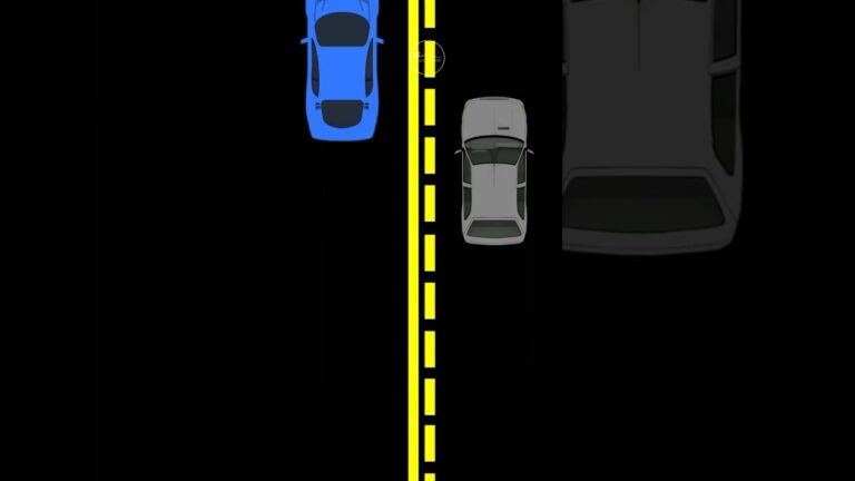 que prohibe la marca longitudinal discontinua amarilla
