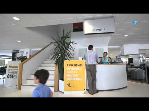 renault valencia retail group islas canarias