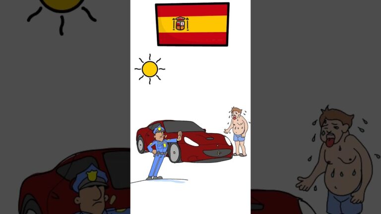 se puede ir sin camiseta en el coche de copiloto