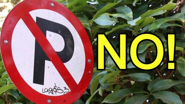 señal de prohibido parar y estacionar