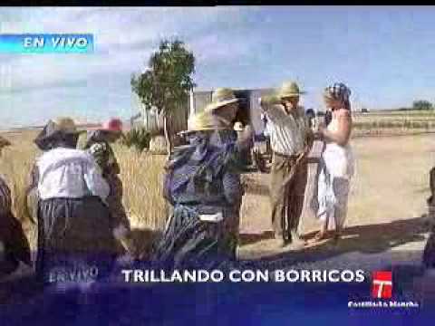 tractores en villafranca de los caballeros