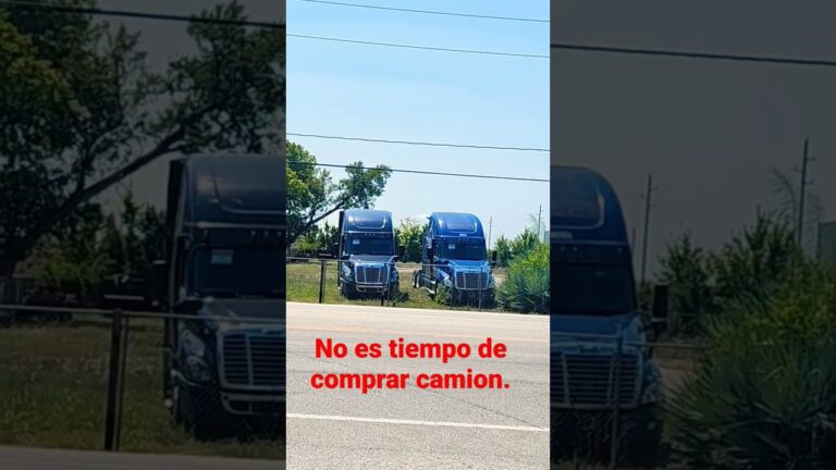 venta de camiones por cese de actividad
