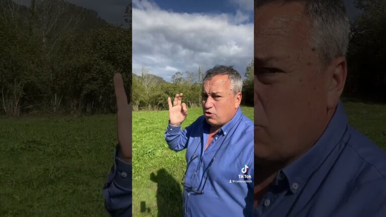 venta de casas en coria del río de particulares